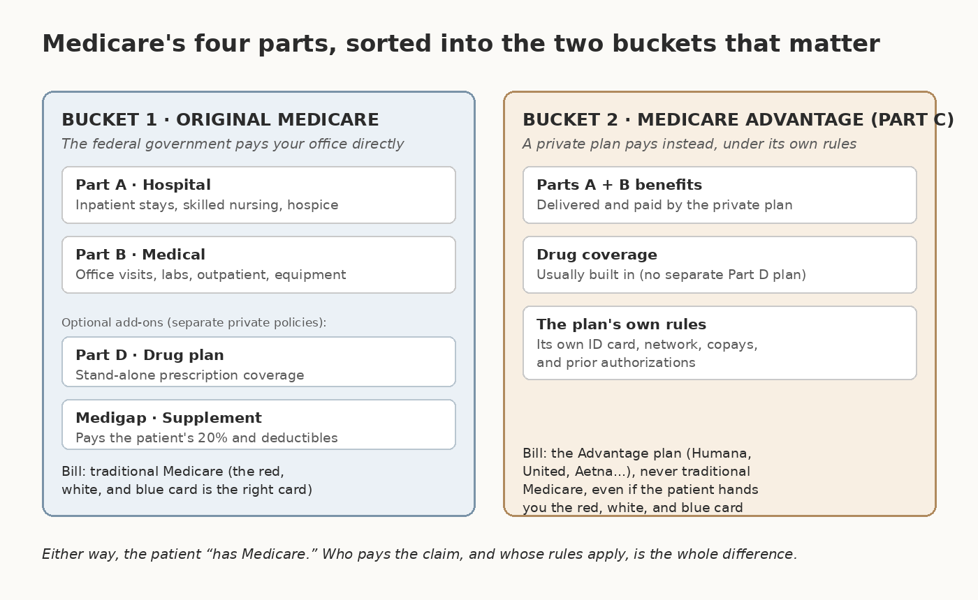 Diagram sorting Medicare's four parts into two buckets...